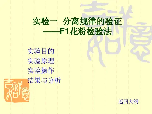 实验一  分离规律的验证