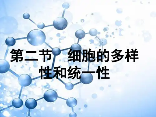 人教版高中生物必修一 1.2 细胞的多样性和统一性PPT(共15页)