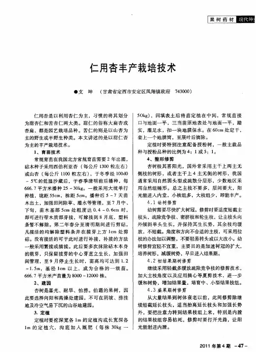 仁用杏丰产栽培技术