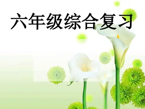PEP六年级英语下册小学时态总复习