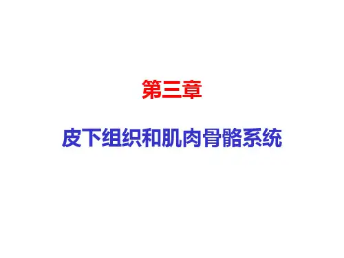 各种常见猪病解剖一 (2)