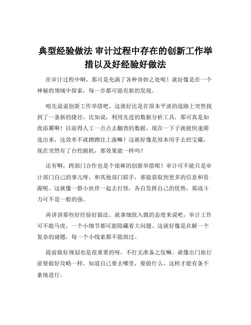 典型经验做法 审计过程中存在的创新工作举措以及好经验好做法