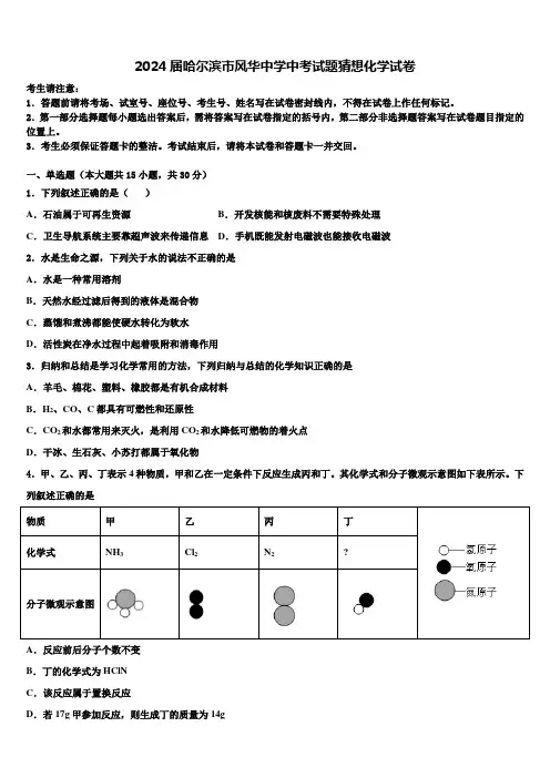 2024届哈尔滨市风华中学中考试题猜想化学试卷含解析