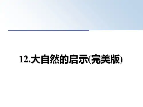 12.大自然的启示(完美版)PPT课件