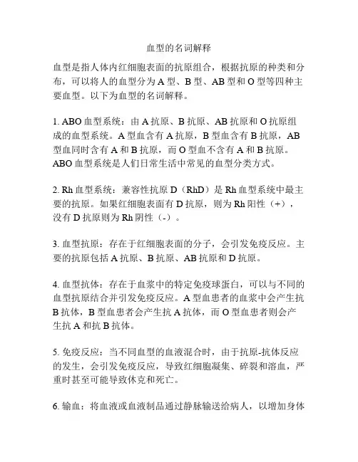 血型的名词解释