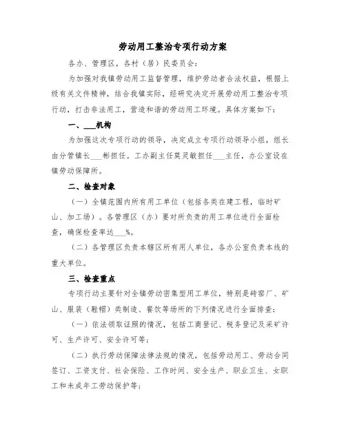 劳动用工整治专项行动方案(3篇)