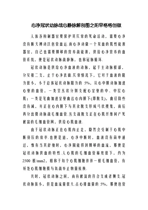 心脏冠状动脉和心静脉解剖图