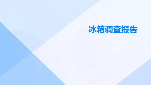 冰箱调查报告