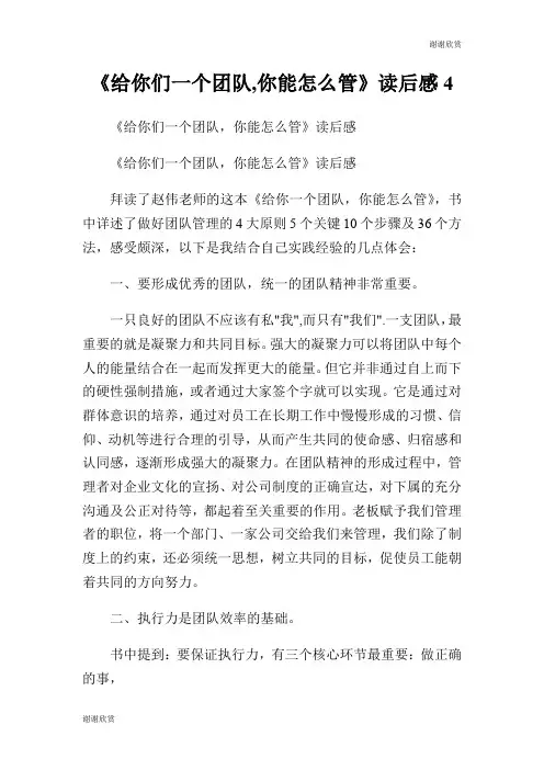 《给你们一个团队,你能怎么管》读后感.doc