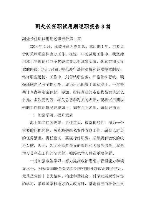 副处长任职试用期述职报告3篇