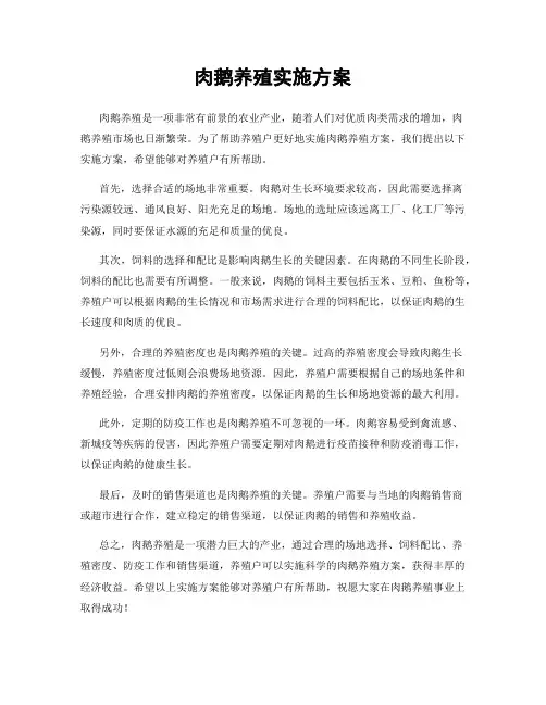 肉鹅养殖实施方案