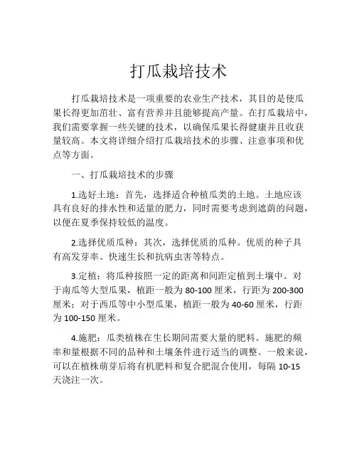 打瓜栽培技术