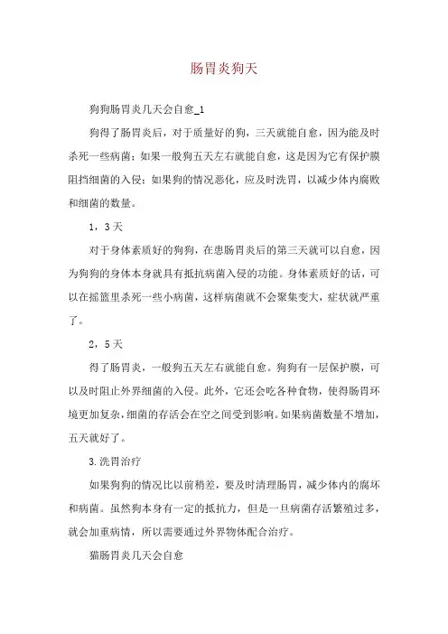 肠胃炎狗天