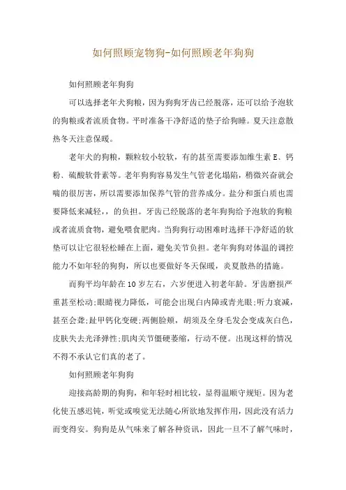 如何照顾宠物狗-如何照顾老年狗狗