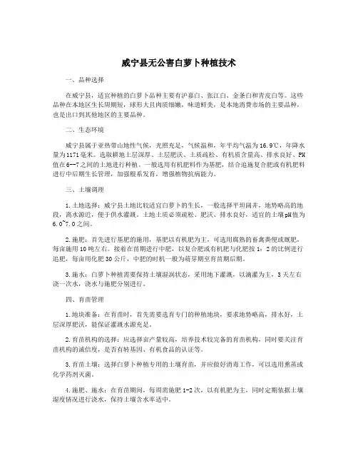 威宁县无公害白萝卜种植技术