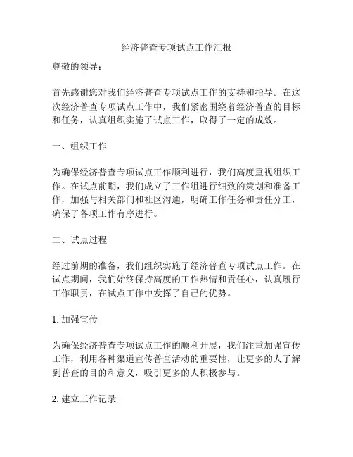 经济普查专项试点工作汇报