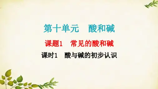 人教版九年级化学 第十单元课题1常见的酸和碱  课时1  酸与碱的初步认识  课件(共31张PPT)