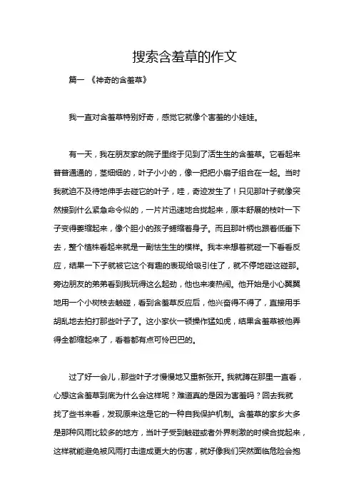 搜索含羞草的作文