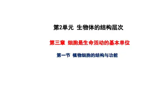 植物细胞的结构与功能 教学课件 苏教版七年级生物上册