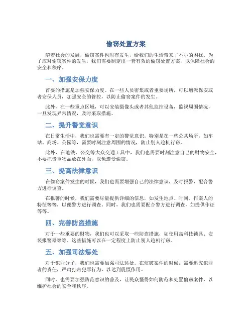 偷窃处置方案