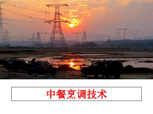 最新中餐烹调技术