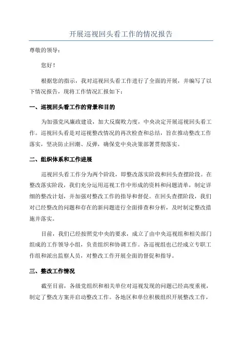 开展巡视回头看工作的情况报告
