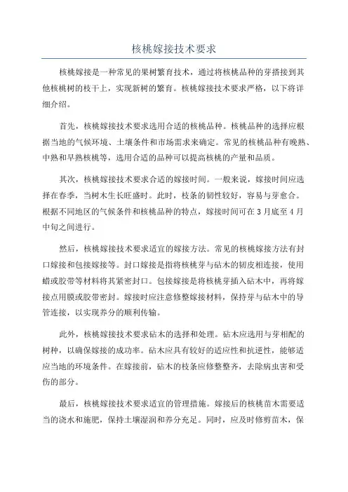 核桃嫁接技术要求