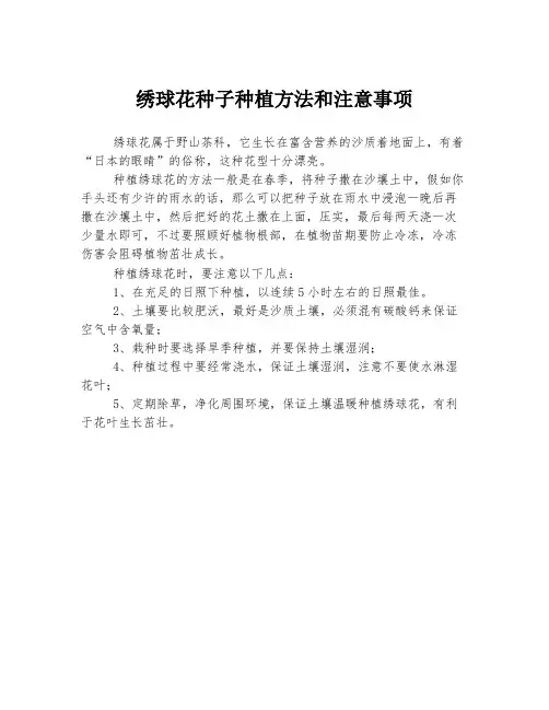 绣球花种子种植方法和注意事项