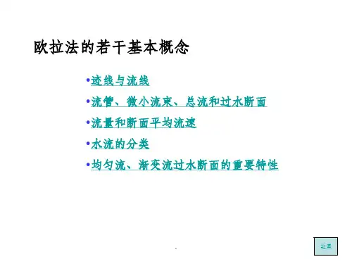 欧拉法的若干基本概念ppt课件
