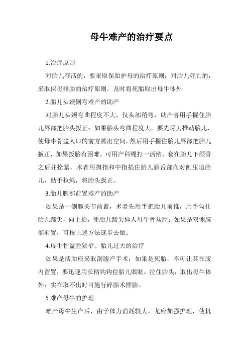 母牛难产的治疗要点