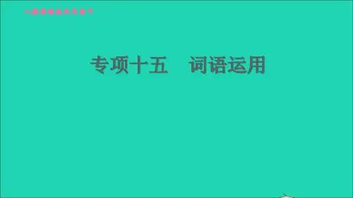九年英语全册专项十五词语运用课件