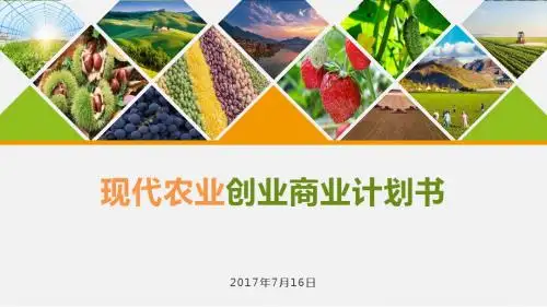 现代农业方向创业商业计划书项目介绍书顶级模板【顶级版】