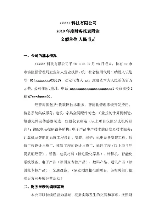 2019年XXXX有限公司财务报表批注-模板(审计报告模板)