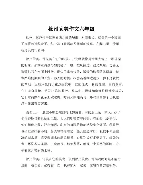徐州真美作文六年级
