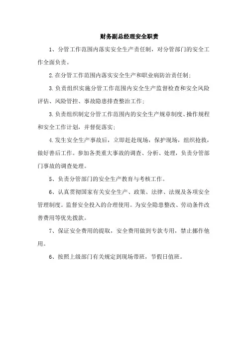 财务副总经理安全职责
