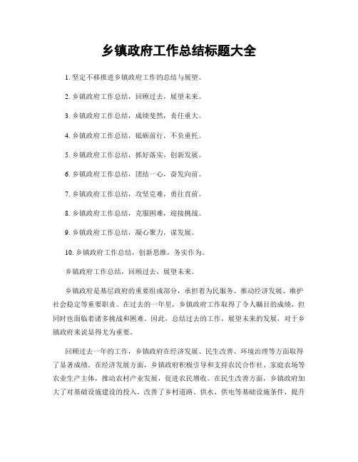 乡镇政府工作总结标题大全