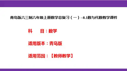 青岛版六三制六年级上册数学总复习(一)--8.1数与代数教学课件