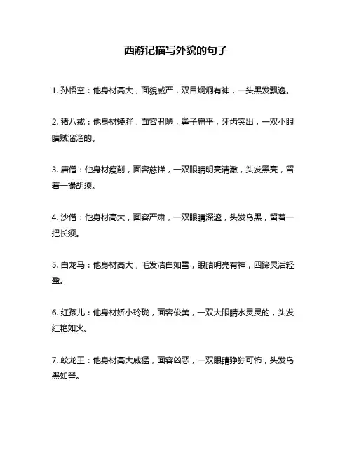 西游记描写外貌的句子