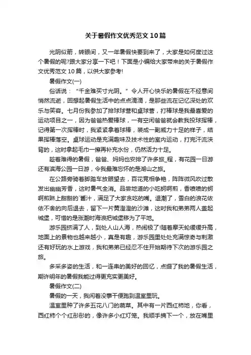 关于暑假作文优秀范文10篇