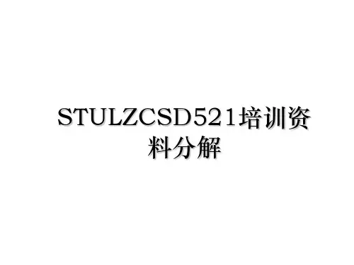 STULZCSD521培训资料分解