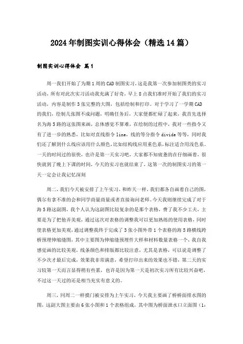 2024年制图实训心得体会(精选14篇)