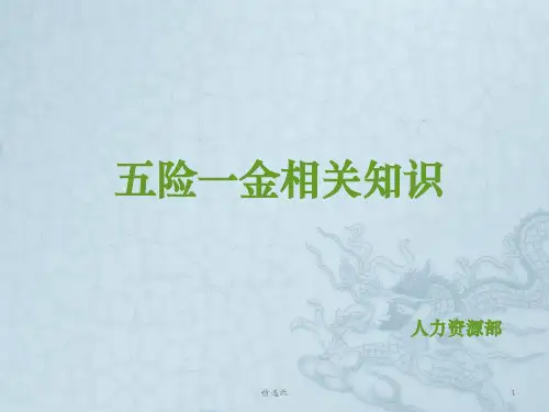 五险一金相关知识培训ppt课件