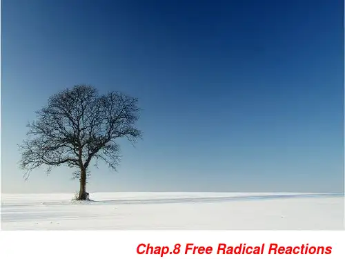 physical organic chemistry Chap.7 Free radical