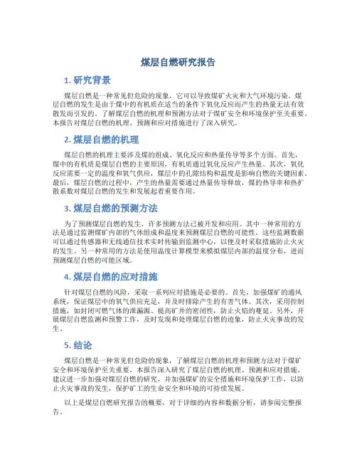 煤层自燃研究报告