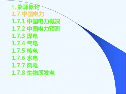 能源战略与能源经济 第一章3