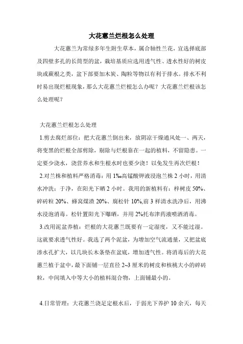 大花蕙兰烂根怎么处理