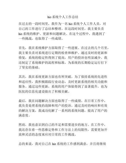 his系统个人工作总结