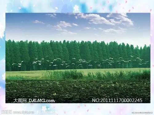 《浅水洼里的小鱼》PPT课件