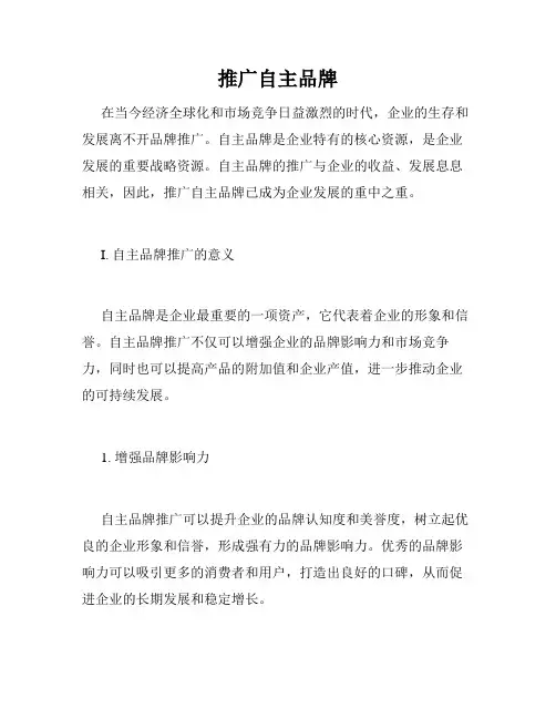推广自主品牌