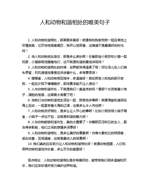人和动物和谐相处的唯美句子